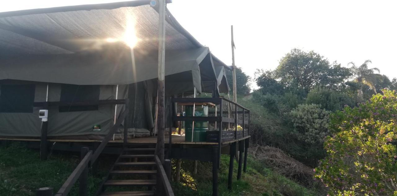 Chosen Glamping Tents Graskop Kültér fotó